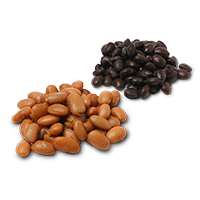 Black Beans and Pinto Beans